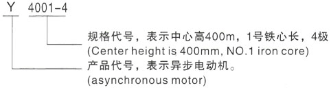 西安泰富西玛Y系列(H355-1000)高压YJTG-90S-6A/0.75KW三相异步电机型号说明